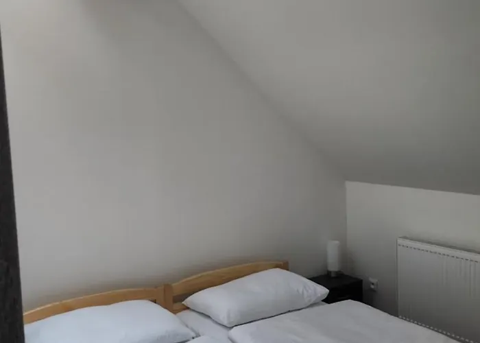 公寓 Penzion-dubno *